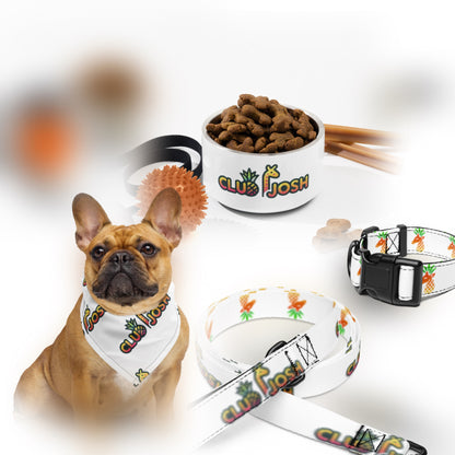 clubPETS Necessities Bundle